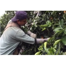 San Antonio Irrigator  - In Person - **CLOSED**<br/>March 5-8, 2024<br/>Comfort Suites<br/>8640 Crownhill Blvd.<br/>San Antonio TX  78209
