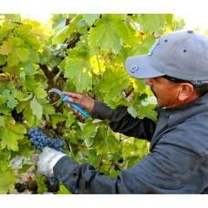 San Antonio Irrigator - In Person<br/>May 7-10, 2024<br/>Comfort Inn & Suites <br/>8640 Crownhill Blvd<br/>San Antonio TX  78209